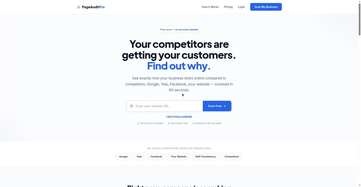 PageAuditPro — actual project screenshot